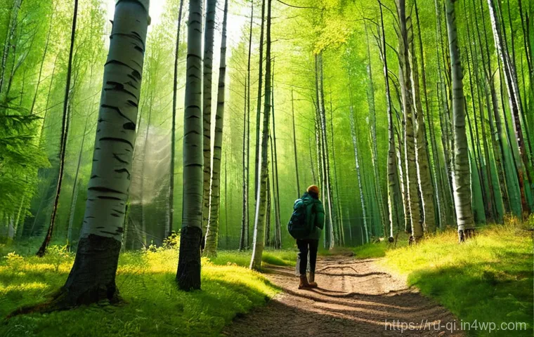 명상적 여행을 통한 자기 발견 - **Prompt 1: Mindful Nature Walk in a Pristine Forest**
    A lone person, of indeterminate gender, i...